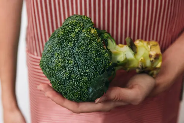 stock image Apron, person holding broccoli, close-up shot on white background.