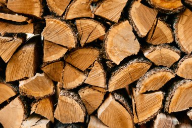 İnşaat ve tasarım için doğal malzemeler sergilenirken, üzerine 