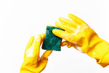 Sarı lastik eldivenli eller, beyaz arka planda yeşil boya kaplı bir sünger tutuyor..