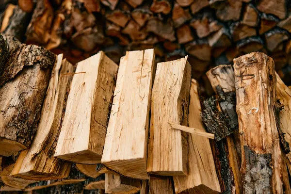 stock image rustic stack of firewood with various wooden logs in front of a large pile