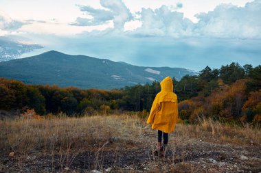 A solitary figure in a vibrant yellow raincoat gazes out over the tranquil valley from atop a peaceful hill clipart