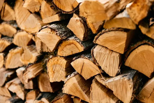 İngiltere 'de bir köy dükkanında yakacak odun yığını. Şöminenin yanındaki sıcak kış gecelerine hazır.