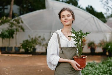 Gayri resmi, yeşil önlük ve beyaz gömlek giymiş, serada saksıda çiçek taşıyan ve yemyeşil çimlerle çevrili, sakin, genç bir kadın.