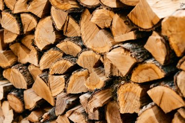 Doğal ortamdaki kırsal yüzeyde düzgünce istiflenmiş odun yığınları.