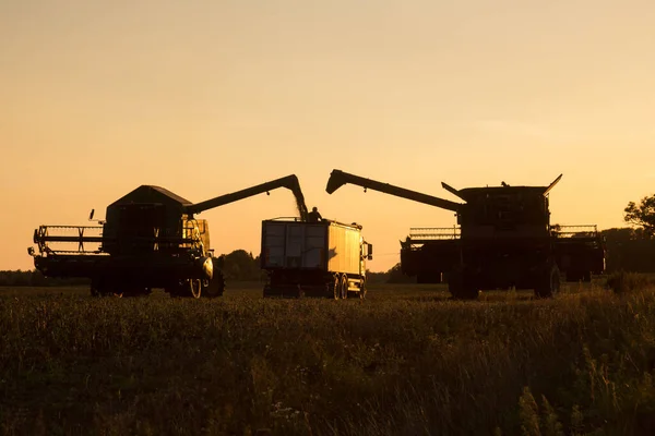 Agricultural machines work in the late summer evening