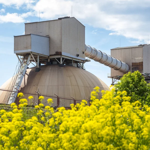 Construção Industrial Terminal Transbordo Fertilizantes Porto Com Flores Amarelas Frente — Fotografia de Stock