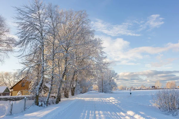 Αγροτικός Δρόμος Μετά Από Χιονοθύελλα Καλυμμένη Χιόνι — Φωτογραφία Αρχείου