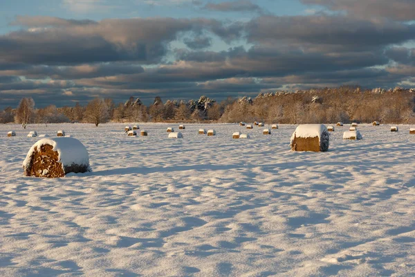 Χειμερινό Τοπίο Στην Ύπαιθρο Ρολά Άχυρου Καλυμμένα Χιόνι — Φωτογραφία Αρχείου