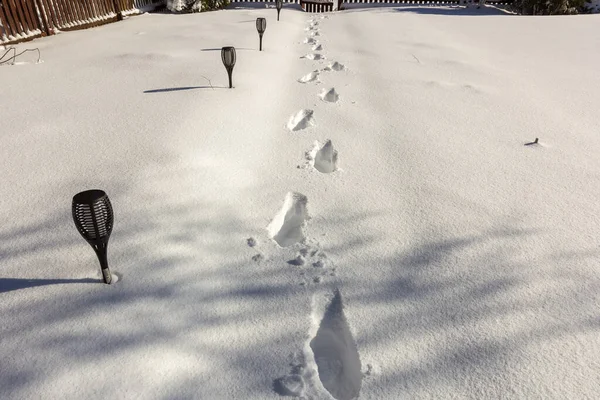 Nach Einem Schneefall Fußspuren Schnee Auf Dem Hofweg — Stockfoto