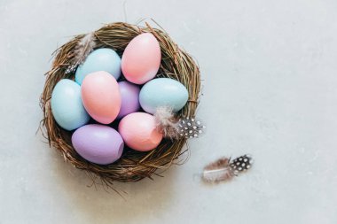 Happy Easter concept. Preparation for holiday. Colorful pastel decorated easter eggs in nest with feather on concrete stone grey background. Simple minimalism flat lay top view copy space