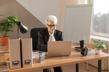 İş yerinde dizüstü bilgisayar kullanan kendine güvenen Avrupalı orta yaşlı bir kadın. Modaya uygun, olgun 60 'ların beyaz saçlı iş kadını ofis masasında oturuyor. Patron öğretmen profesyonel işçi.