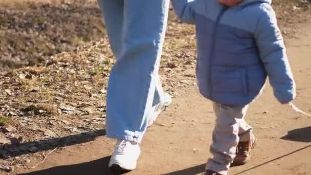 Счастливой Семьи Открытом Воздухе Мама Ребенок Прогулке Парке Мама Держит — стоковое видео