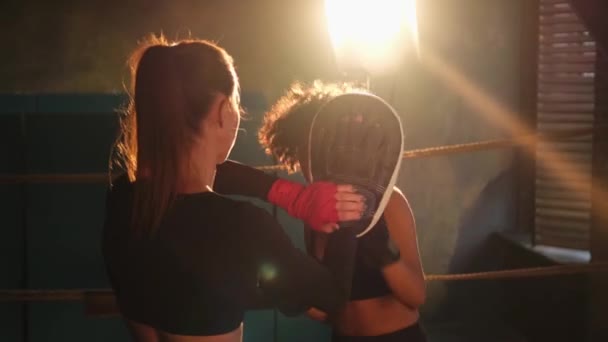Poder Autodefensa Las Mujeres Mujer Boxeadora Boxeadora Entrenadora Personal Entrenando — Vídeos de Stock