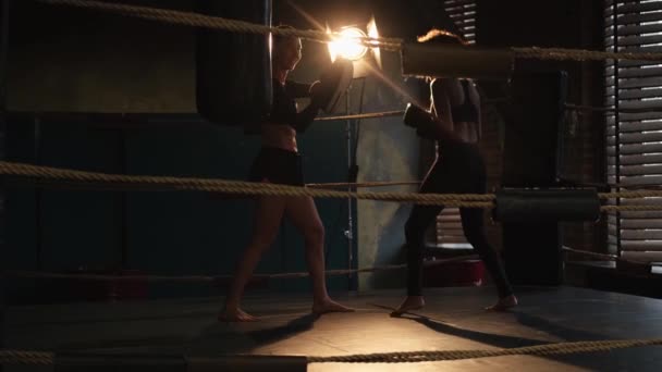 Poder Autodefensa Las Mujeres Mujer Boxeadora Boxeadora Entrenadora Personal Entrenando — Vídeos de Stock