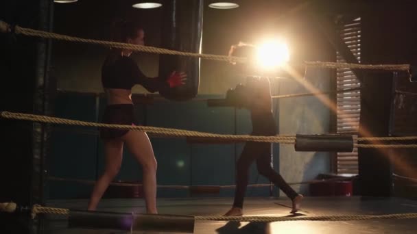 女性の自衛権 ボクシンググローブでフィットネスパンチを教えるジムでの女性戦闘ボクサーとパーソナルトレーナーのトレーニング 健康な強い女の子パンチトレーニングパンチ フィットボディワークアウト — ストック動画
