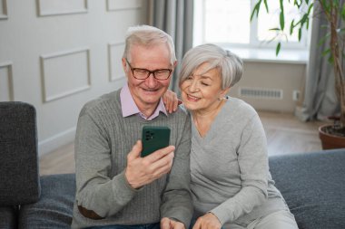 Görüntülü arama. Akıllı telefonlu mutlu son sınıf kadın erkek video görüşmesi yapıyor. Olgun yaşlı büyükbaba internette konuşuyor. Eski nesil modern teknoloji kullanımı. Sanal toplantı çevrimiçi sohbet