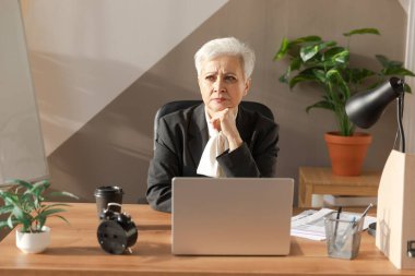 Confident stylish european middle aged senior woman using laptop at workplace. Stylish older mature 60s gray haired lady businesswoman sitting at office table. Boss leader teacher professional worker