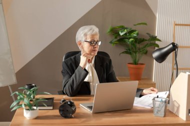 Finansal raporlama istatistiklerini okuyan kendinden emin, Avrupalı orta yaşlı bir kadın. Modaya uygun olgun 60 'ların beyaz saçlı bayan iş kadını. Lider öğretmen.