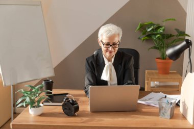 Confident stylish european middle aged senior woman using laptop at workplace. Stylish older mature 60s gray haired lady businesswoman sitting at office table. Boss leader teacher professional worker