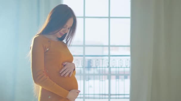Těhotenství Lidé Očekávají Budoucnost Těhotná Žena Velkým Břichem Stojí Okna — Stock video