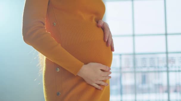 Gravidez Maternidade Pessoas Expectativa Futuro Mulher Grávida Mãos Tocando Barriga — Vídeo de Stock