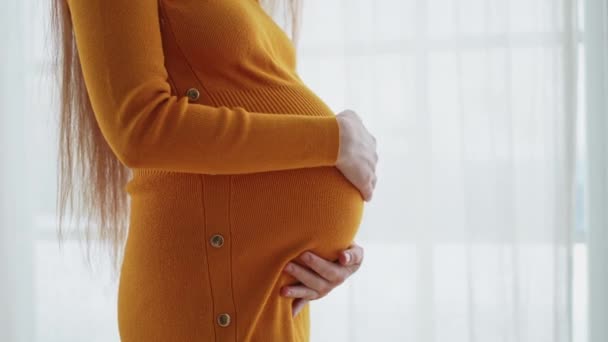 Беременность Материнство Люди Ожидают Будущее Беременная Женщина Прикасается Большому Животу — стоковое видео