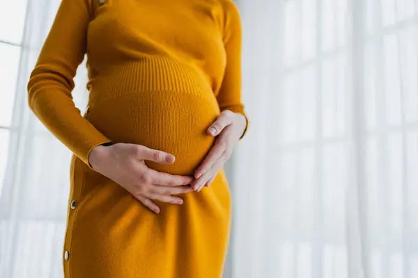 Embarazo Maternidad Personas Esperan Futuro Las Manos Mujer Embarazada Tocando Fotos de stock