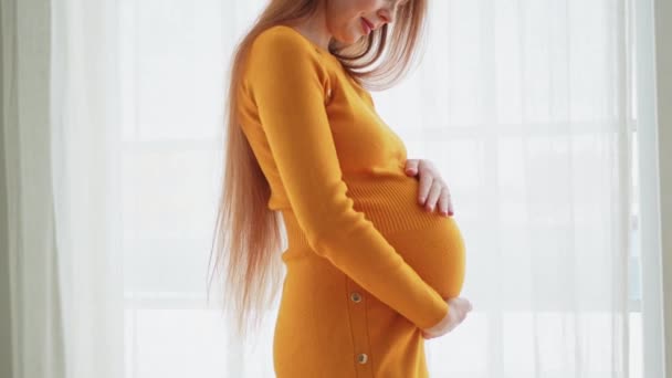Terhes Anyaság Emberek Elvárják Jövőben Terhes Nagy Pocakkal Ablak Mellett — Stock videók
