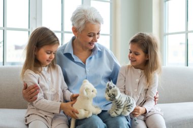 Evde mutlu bir aile. İki küçük kız kardeş ikiz büyükanne birlikte vakit geçiriyorlar. Evde iyi eğlenceler. Büyükanne torunları, çocuk çocuklar oyuncak oynuyorlar, birbirlerine sarılıyorlar. Aile nesilleri