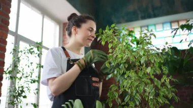 Kendi işimi yürütüyorum. Çiçekçi kadın botanik mağazasında yeşil bitkilerle ilgileniyor. Çiçekçide çalışan mutlu küçük işletme sahibi bitkilerle çevrili duruyor. Küçük işletme