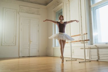 Bale dersinde etekli balerin dans ederek bale yapıyor. Dans stüdyosundaki genç klasik dansçı kadın. Bale sınıfı eğitimi. Bale okulu konsepti