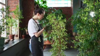 Kendi işimi yürütüyorum. Çiçekçi kadın botanik mağazasında yeşil bitkilerle ilgileniyor. Çiçekçide çalışan mutlu küçük işletme sahibi bitkilerle çevrili duruyor. Küçük işletme