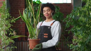 Kendi işimi yürütüyorum. Afrikalı çiçekçi kadın saksıda bitki tutuyor botanik mağazasında önlük giyiyor. Çiçekçide çalışan mutlu küçük işletme sahibi bitkilerle çevrili gülümsüyor. Küçük işletme