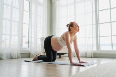 Hamilelik yoga antrenmanı. Hamile kadın evde yoga yapıyor. Hamile kız içeride yoga minderiyle spor yapıyor. Koca göbekli bir kadın Asya antrenmanı yapıyor.