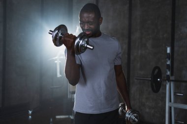 Beden eğitiminde spor. Spor salonunda dambılları toplayan Afrikalı Amerikalı bir vücut geliştirici. Fitness kulübünde halterli kasları çalıştırmak için ağırlık çalışıyorum. Spor yapan bir adam. Sağlıklı yaşam tarzı