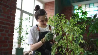 Kendi işimi yürütüyorum. Çiçekçi kadın botanik mağazasında yeşil bitkilerle ilgileniyor. Çiçekçide çalışan mutlu küçük işletme sahibi bitkilerle çevrili duruyor. Küçük işletme