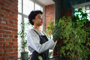 Kendi işimi yürütüyorum. Önlük giyen Afrikalı kadın çiçekçi botanik dükkanında bitkilerle ilgileniyor. Çiçekçide çalışan mutlu küçük işletme sahibi etrafı bitkilerle çevrili gülümsüyor.