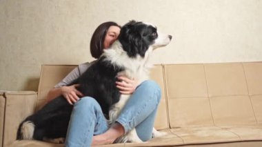 Gülümseyen kadın evdeki kanepede köpek yavrusu çoban köpeğiyle oynuyor. Sahibi kanepede oturan köpeği okşayan bir kız. Evcil hayvan sevgisi Dostluk Destek Takımı konsepti
