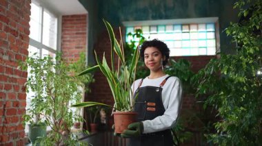 Kendi işimi yürütüyorum. Afrikalı çiçekçi kadın saksıda bitki tutuyor botanik mağazasında önlük giyiyor. Çiçekçide çalışan mutlu küçük işletme sahibi bitkilerle çevrili gülümsüyor. Küçük işletme