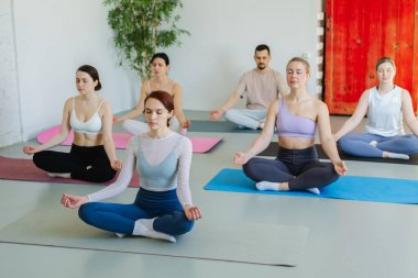 Yoga farkındalığı meditasyonu. Yoga sağlık farkındalığı meditasyonu için stüdyoda egzersiz yapan bir grup sporcu. Nilüfer çiçeğinde oturup yoga yapan erkek kadınlar meditasyon yapıyor.