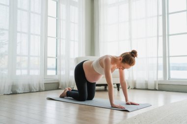 Hamilelik yoga antrenmanı. Hamile kadın evde yoga yapıyor. Hamile kız içeride yoga minderiyle spor yapıyor. Koca göbekli bir kadın Asya antrenmanı yapıyor.