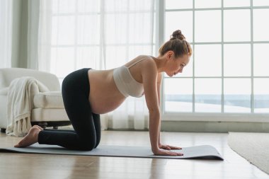 Hamilelik yoga antrenmanı. Hamile kadın evde yoga yapıyor. Hamile kız içeride yoga minderiyle spor yapıyor. Koca göbekli bir kadın Asya antrenmanı yapıyor.