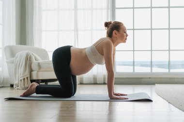 Hamilelik yoga antrenmanı. Hamile kadın evde yoga yapıyor. Hamile kız içeride yoga minderiyle spor yapıyor. Koca göbekli bir kadın Asya antrenmanı yapıyor.