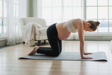 Hamilelik yoga antrenmanı. Hamile kadın evde yoga yapıyor. Hamile kız içeride yoga minderiyle spor yapıyor. Koca göbekli bir kadın Asya antrenmanı yapıyor.