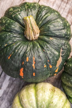 Sonbahar Arkaplanı. Doğal sonbahar sonbahar manzaralı balkabakları ahşap arka planda. İlham verici Ekim ya da Eylül duvar kağıdı. Mevsimlerin değişimi olgun organik gıda konsepti. Cadılar Bayramı partisi Şükran Günü