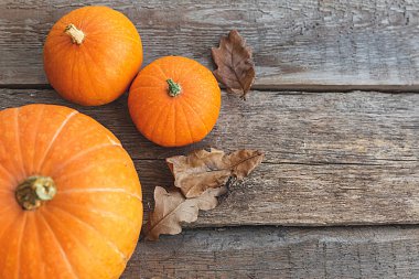 Sonbahar Arkaplanı. Doğal sonbahar sonbahar manzaralı balkabakları ahşap arka planda. İlham verici Ekim ya da Eylül duvar kağıdı. Mevsimlerin değişimi olgun organik gıda konsepti. Cadılar Bayramı partisi Şükran Günü