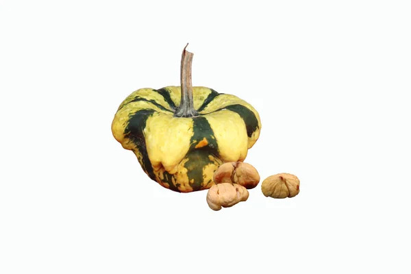 Ornamental Pumpkin Peeled Chestnuts — Stock Photo, Image