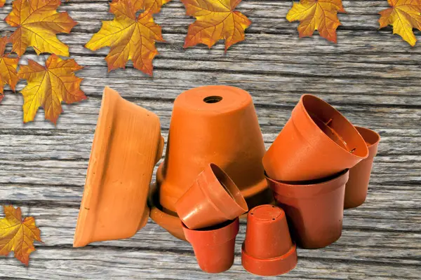 Plastic Terracotta Jars Gardening — Stock Photo, Image