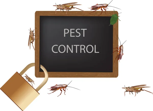 Böcek Istilası Uyarısı Sağlığa Zararlıdır — Stok Vektör