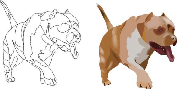 Pitbull Terrier Pies Obronny Samoobrona — Wektor stockowy